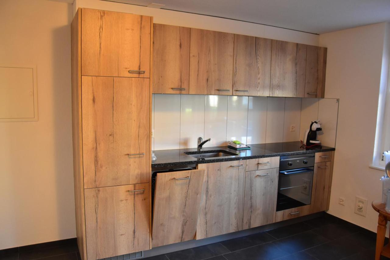 Chemihuettli Apartments Axalp Zewnętrze zdjęcie