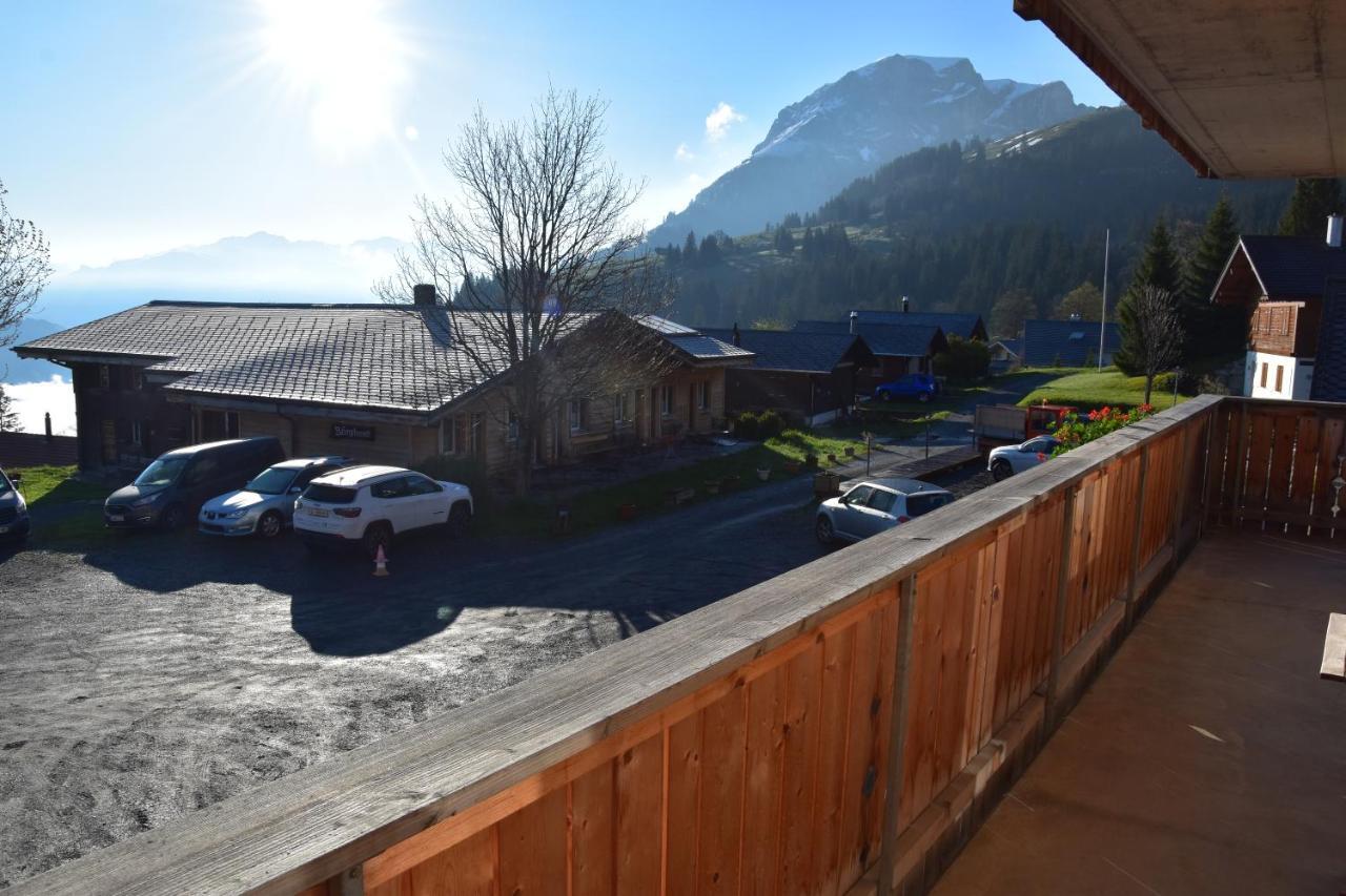 Chemihuettli Apartments Axalp Zewnętrze zdjęcie