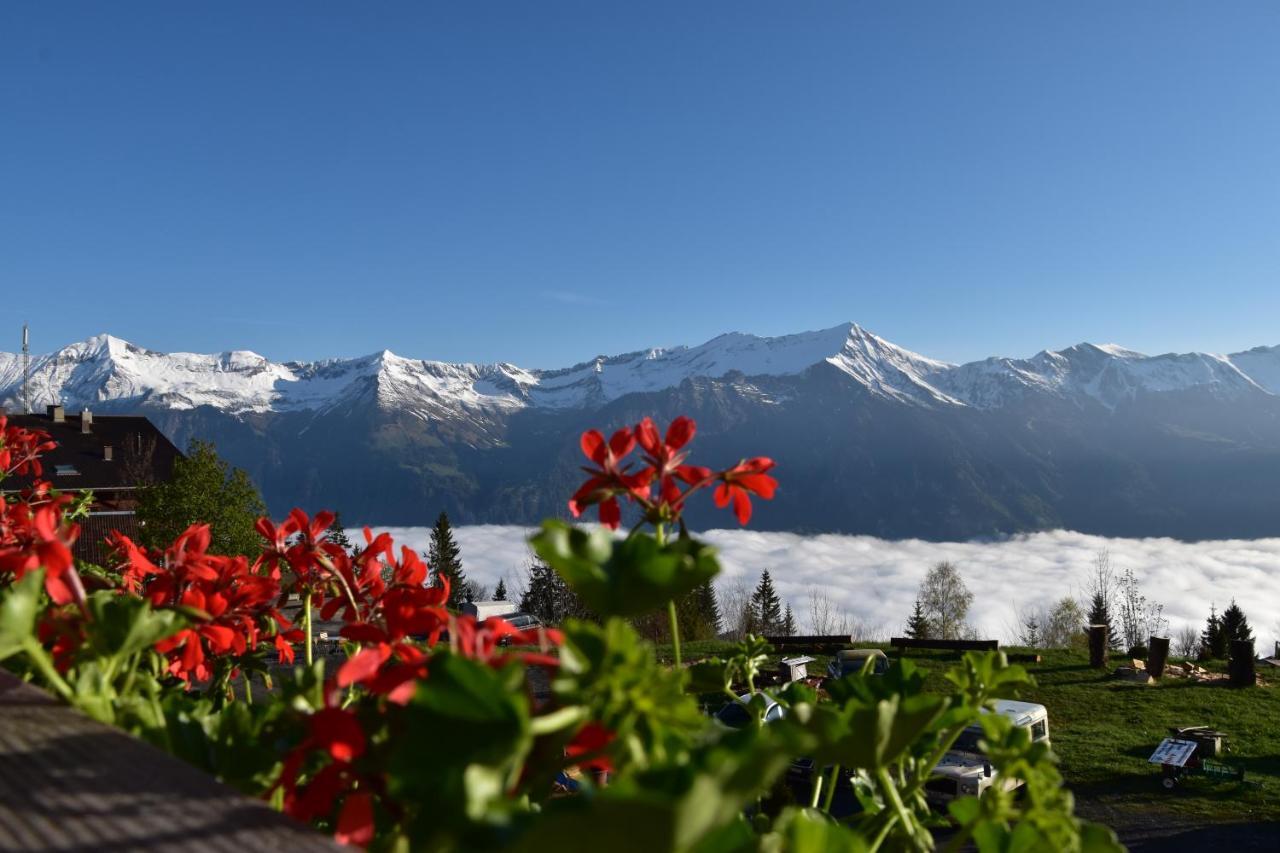 Chemihuettli Apartments Axalp Zewnętrze zdjęcie